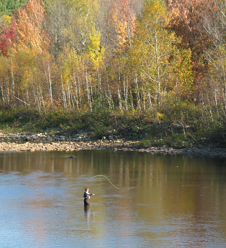 Trout fishing in the Androscoggin River