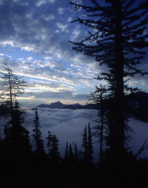 Larches at Methow Pass
