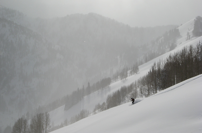 Powder in the Meadow Chutes