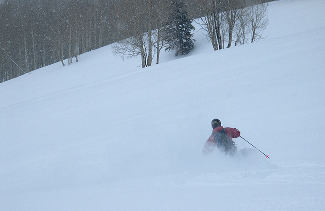 Aspens glades and Powder