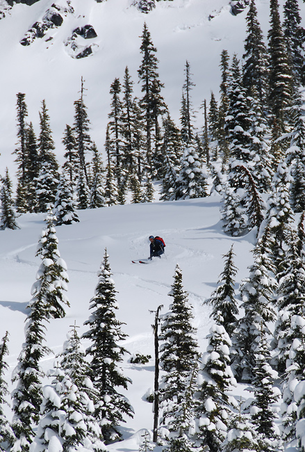 Powder skiing at Snoqualmie Pass