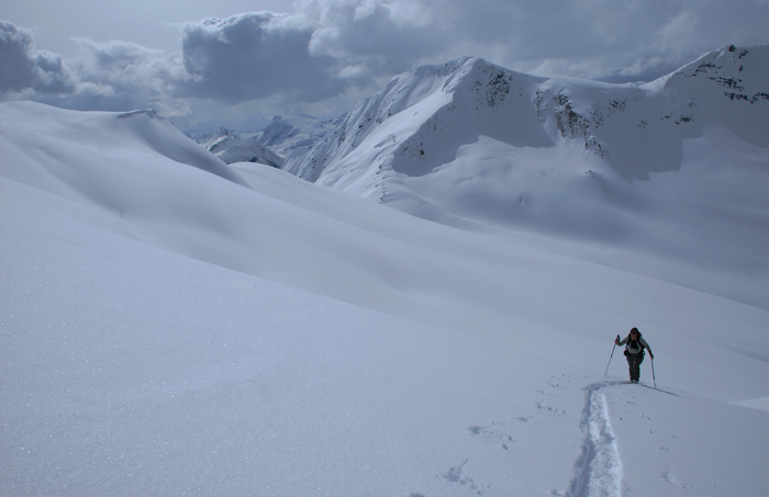 Climbing the Steps of Paradise