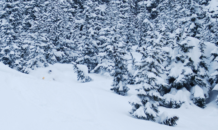 Powder skiing at Snoqualmie Pass